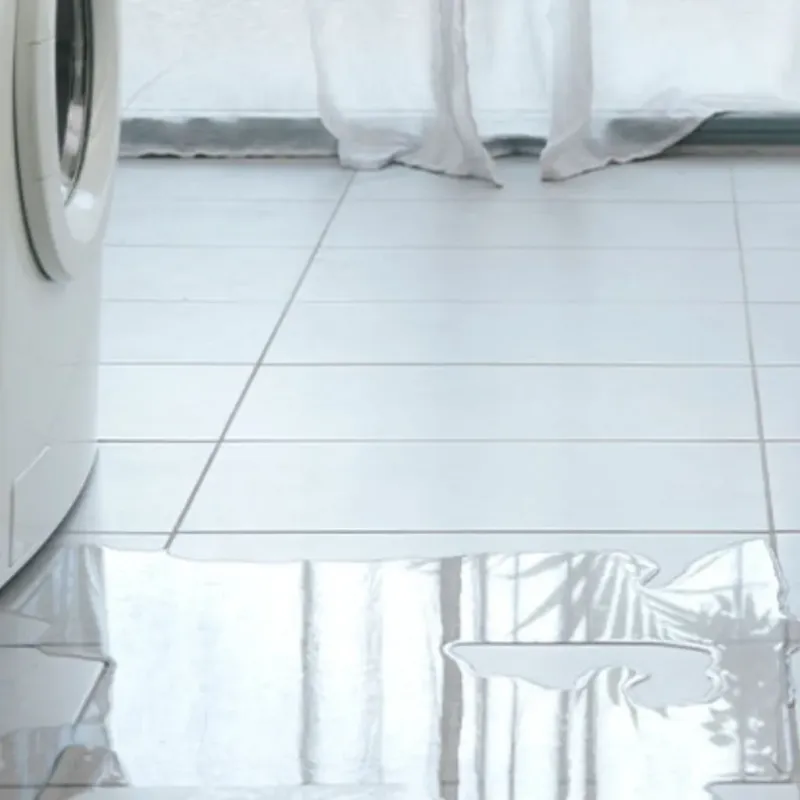 Appliance Leak Cleanup in Douglas, MI