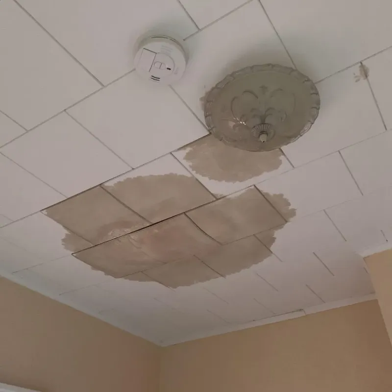 Ceiling Water Damage Repair in Douglas, MI