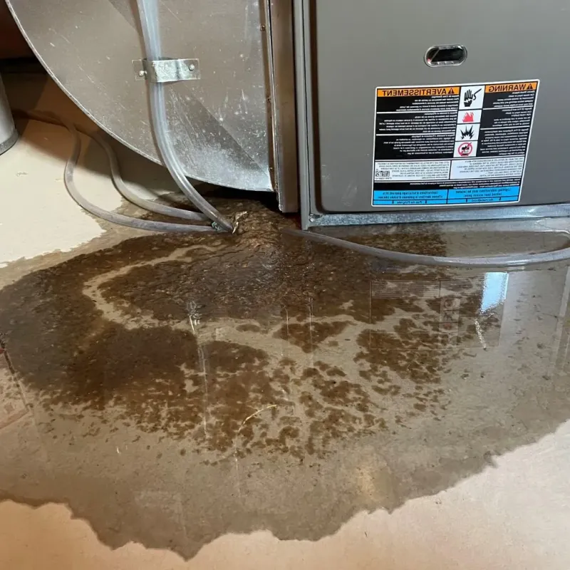 Pipe Burst and Leak Restoration in Douglas, MI