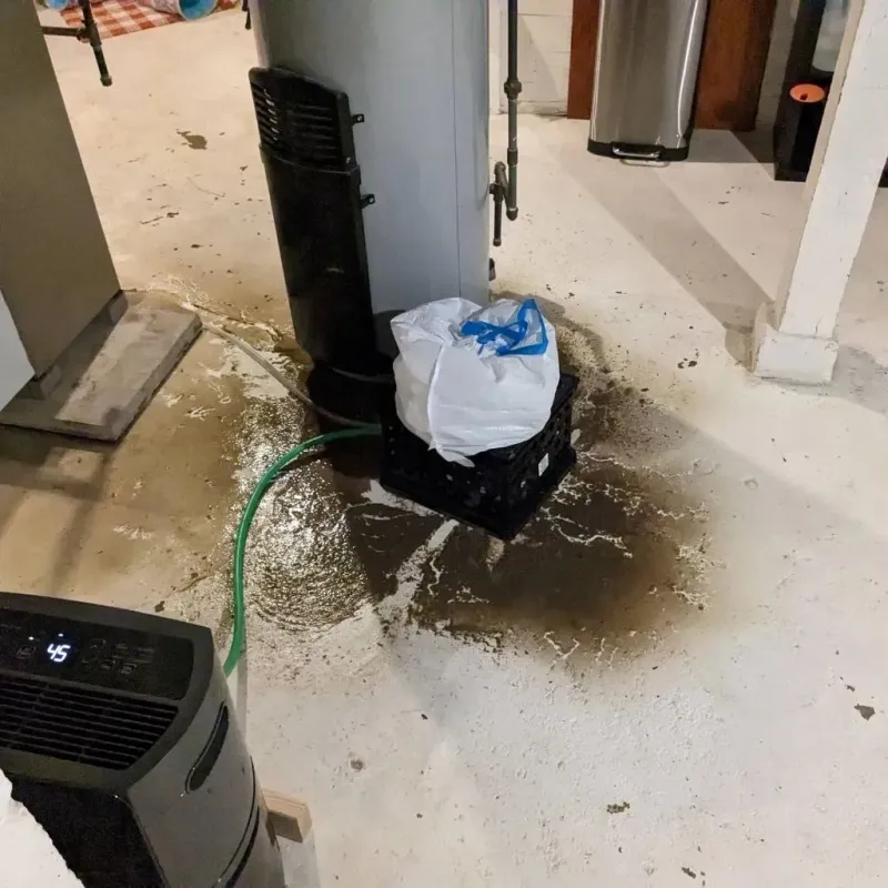 Sewage Backup Cleanup Service in Douglas, MI